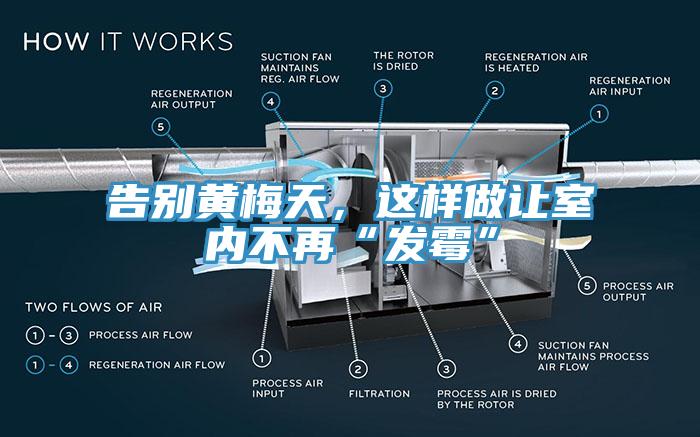 告別黃梅天，這樣做讓室內(nèi)不再“發(fā)霉”