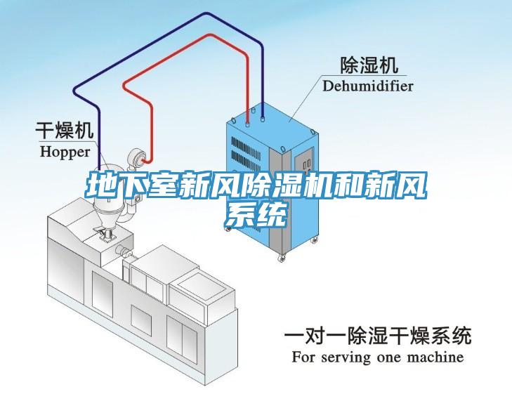 地下室新風(fēng)除濕機(jī)和新風(fēng)系統(tǒng)