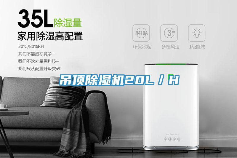 吊頂除濕機20L／H