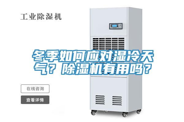 冬季如何應對濕冷天氣？除濕機有用嗎？