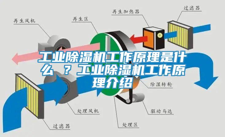 工業(yè)除濕機工作原理是什么 ？工業(yè)除濕機工作原理介紹