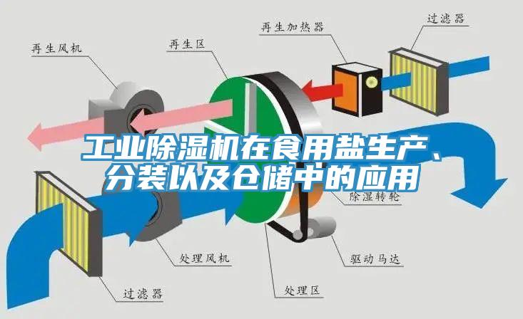 工業除濕機在食用鹽生產、分裝以及倉儲中的應用