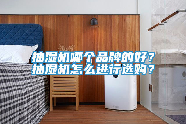 抽濕機哪個品牌的好？抽濕機怎么進行選購？