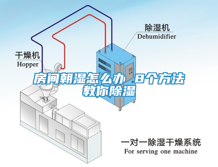 房間朝濕怎么辦 8個方法教你除濕