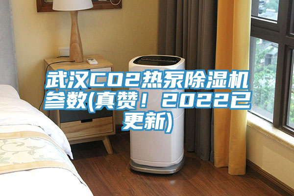 武漢CO2熱泵除濕機參數(shù)(真贊！2022已更新)