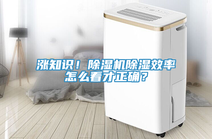 漲知識！除濕機除濕效率怎么看才正確？