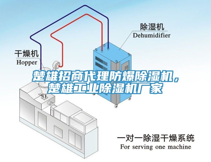 楚雄招商代理防爆除濕機，楚雄工業(yè)除濕機廠家