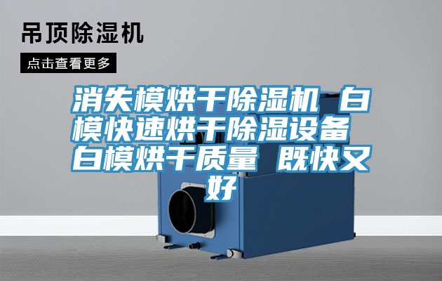 消失模烘干除濕機 白?？焖俸娓沙凉裨O備 白模烘干質量 既快又好