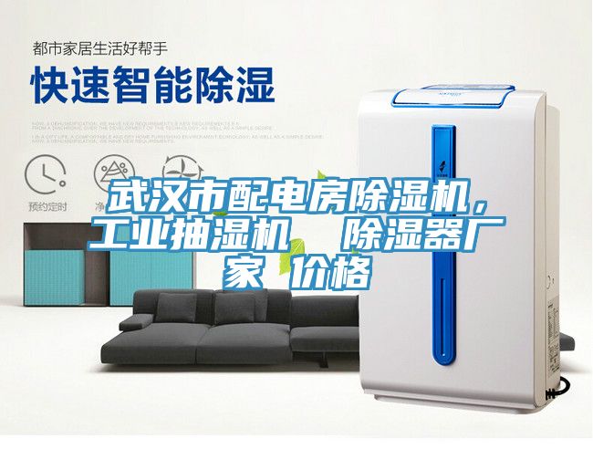 武漢市配電房除濕機，工業抽濕機  除濕器廠家 價格