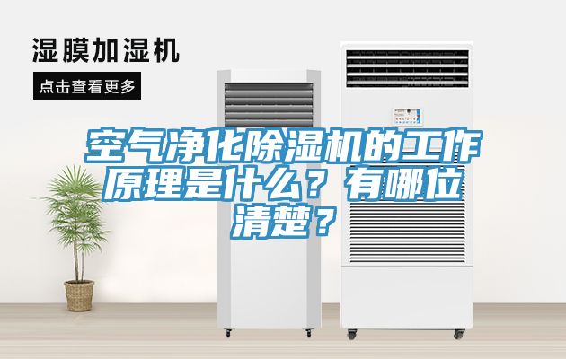 空氣凈化除濕機的工作原理是什么？有哪位清楚？