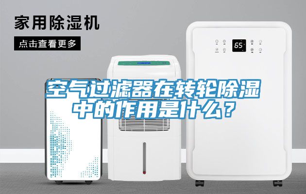 空氣過濾器在轉輪除濕中的作用是什么？