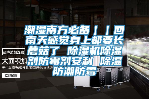 潮濕南方必備｜｜回南天感覺身上都要長(zhǎng)蘑菇了 除濕機(jī)除濕劑防霉劑安利 除濕防潮防霉