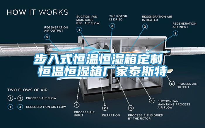 步入式恒溫恒濕箱定制 恒溫恒濕箱廠家泰斯特