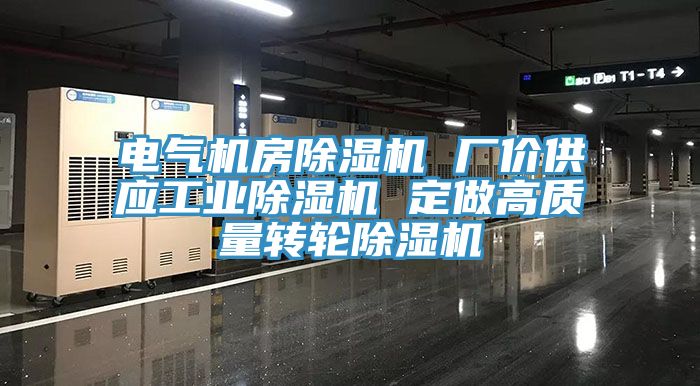 電氣機房除濕機 廠價供應工業除濕機 定做高質量轉輪除濕機