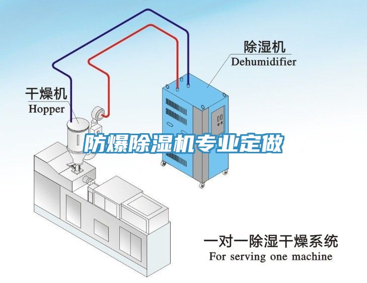 防爆除濕機(jī)專(zhuān)業(yè)定做