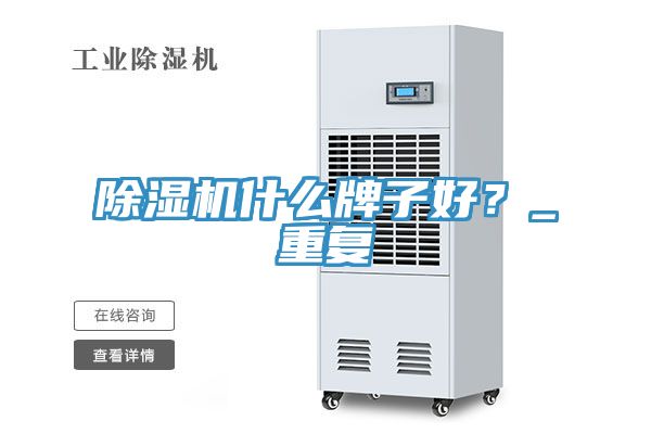 除濕機什么牌子好？_重復