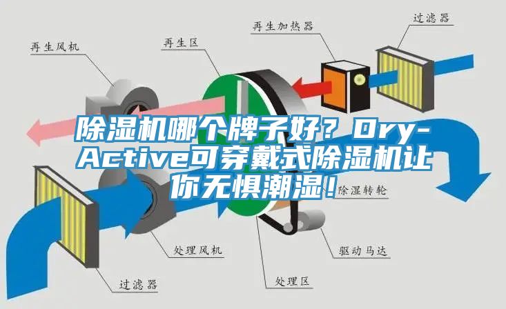 除濕機(jī)哪個(gè)牌子好？Dry-Active可穿戴式除濕機(jī)讓你無懼潮濕！