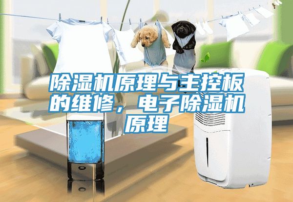 除濕機原理與主控板的維修，電子除濕機原理