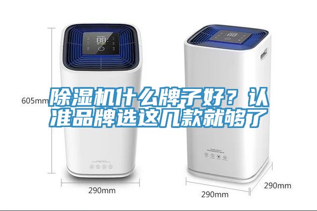 除濕機什么牌子好？認準品牌選這幾款就夠了