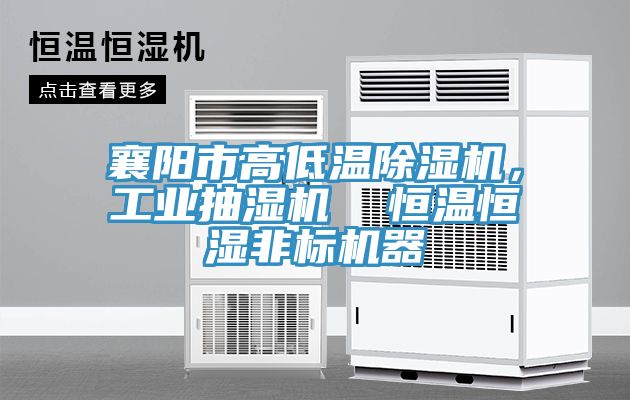 襄陽市高低溫除濕機，工業抽濕機  恒溫恒濕非標機器