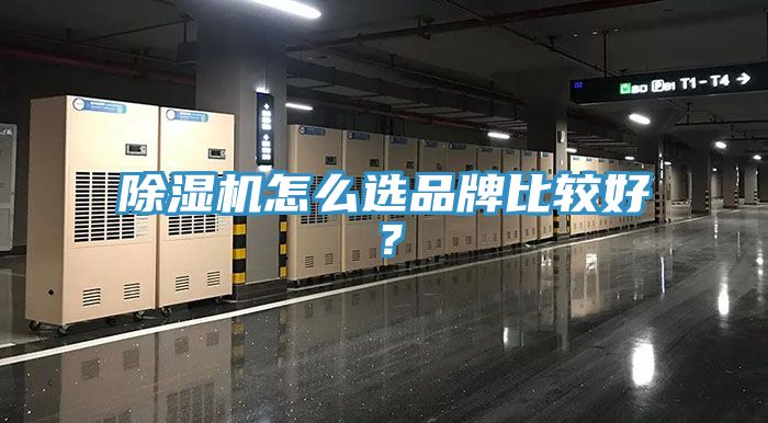 除濕機怎么選品牌比較好？