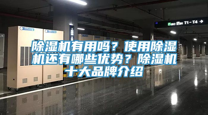 除濕機有用嗎？使用除濕機還有哪些優勢？除濕機十大品牌介紹