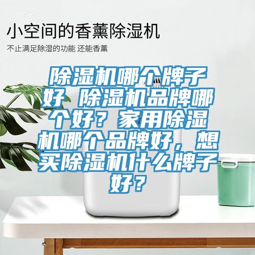 除濕機(jī)哪個牌子好 除濕機(jī)品牌哪個好？家用除濕機(jī)哪個品牌好，想買除濕機(jī)什么牌子好？