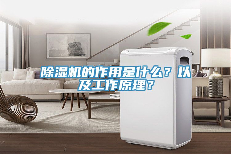 除濕機(jī)的作用是什么？以及工作原理？