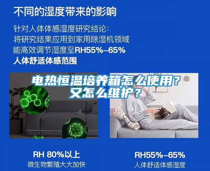 電熱恒溫培養箱怎么使用？又怎么維護？