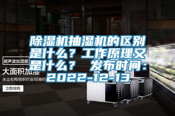 除濕機抽濕機的區別是什么？工作原理又是什么？ 發布時間：2022-12-13