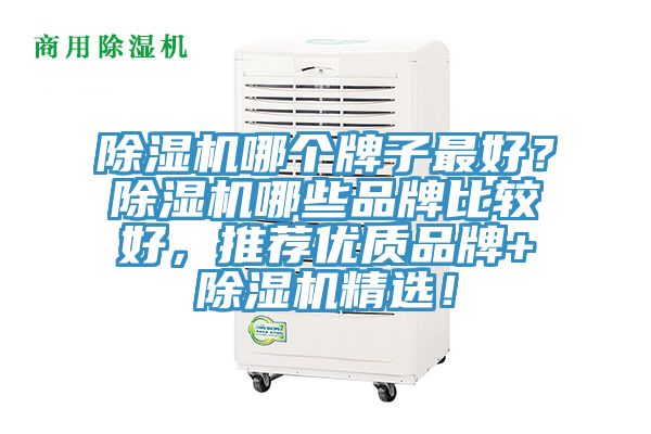 除濕機哪個牌子最好？除濕機哪些品牌比較好，推薦優質品牌+除濕機精選！