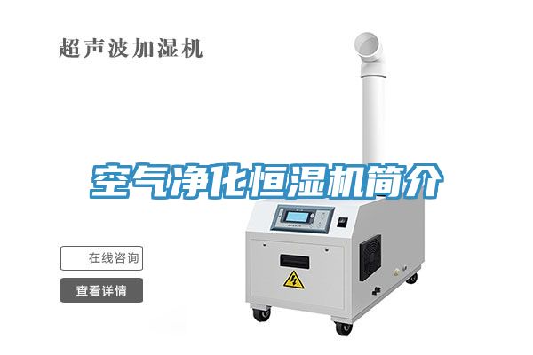 空氣凈化恒濕機簡介