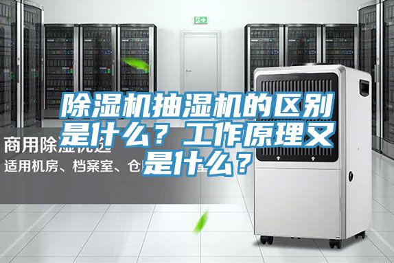 除濕機抽濕機的區別是什么？工作原理又是什么？