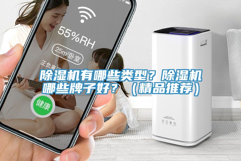 除濕機有哪些類型？除濕機哪些牌子好？（精品推薦）